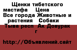 Щенки тибетского мастифа. › Цена ­ 30 000 - Все города Животные и растения » Собаки   . Тыва респ.,Ак-Довурак г.